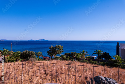 Deep blue Mediterranean sea view with palms and dry grass