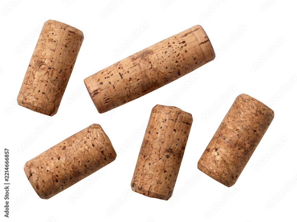 Fototapeta premium Five cylindrical natural cork stoppers as isolated on with cork oak as isolated on transparent background