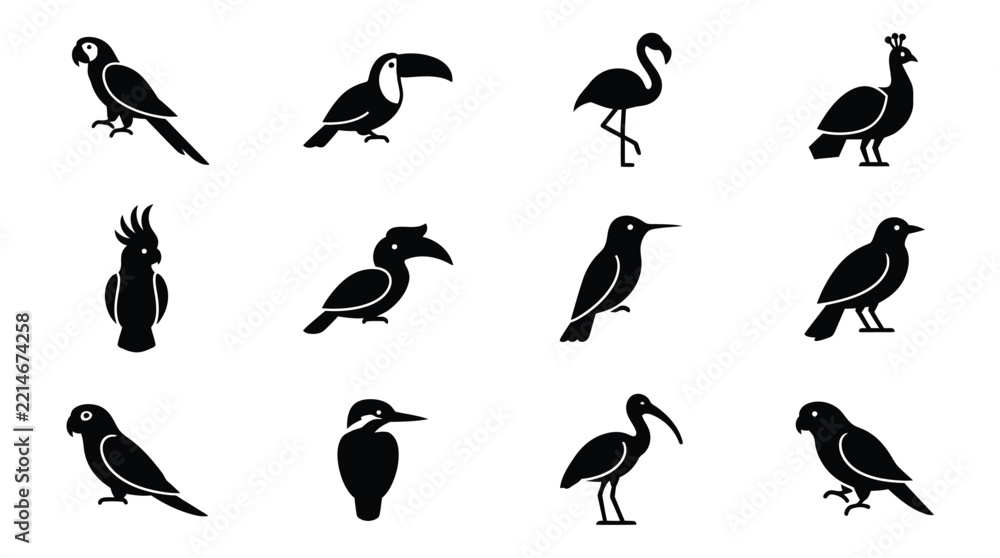 Fototapeta premium Black and White Silhouette Illustrations Of Various Bird Species On Transparent Background