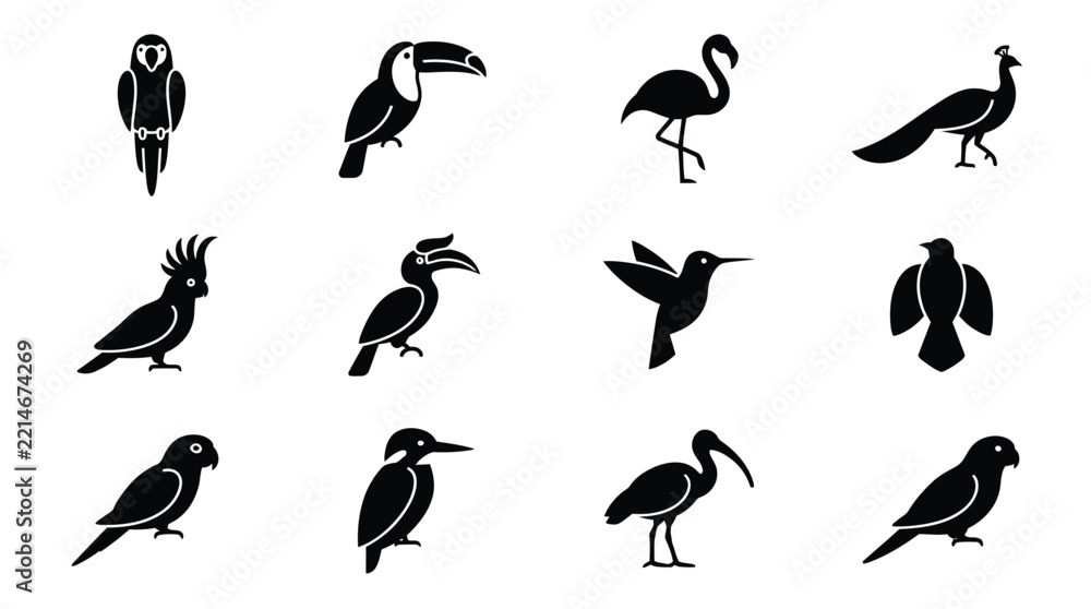 Fototapeta premium Black and White Silhouette Illustrations of Various Bird Species Standing Positions