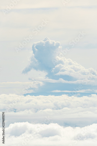 Photography elephant clouds in the sky