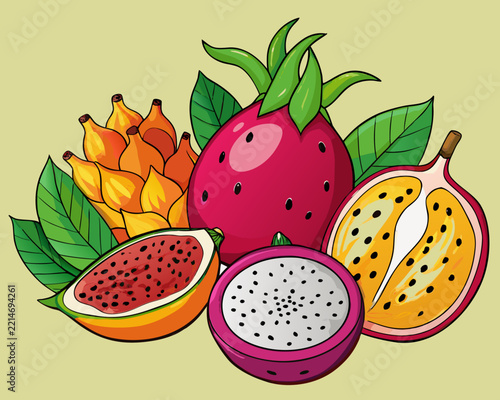 vector illustration of fruits