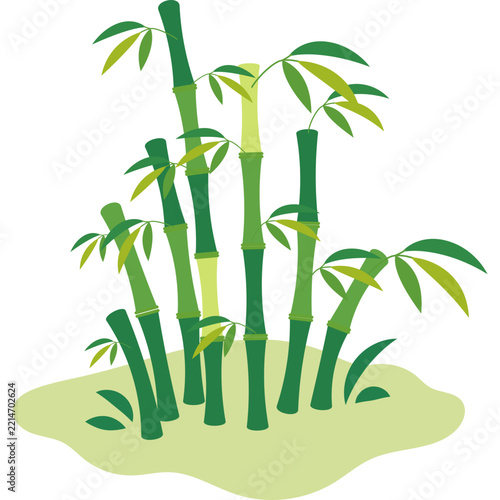 Bamboo Vector Illustration