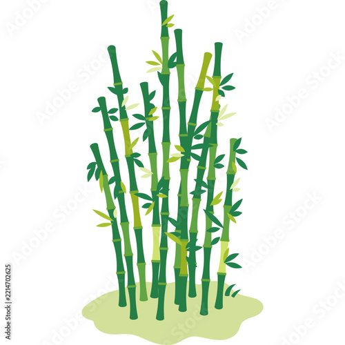 Bamboo Vector Illustration