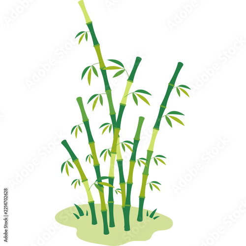 Bamboo Vector Illustration