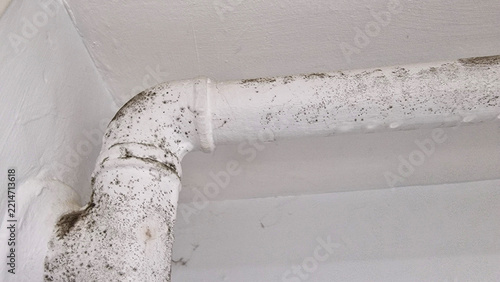 Old white paint covered pipes