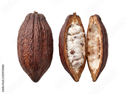 Whole cocoa fruit and open pod halves displaying interior beans as isolated on transparent background