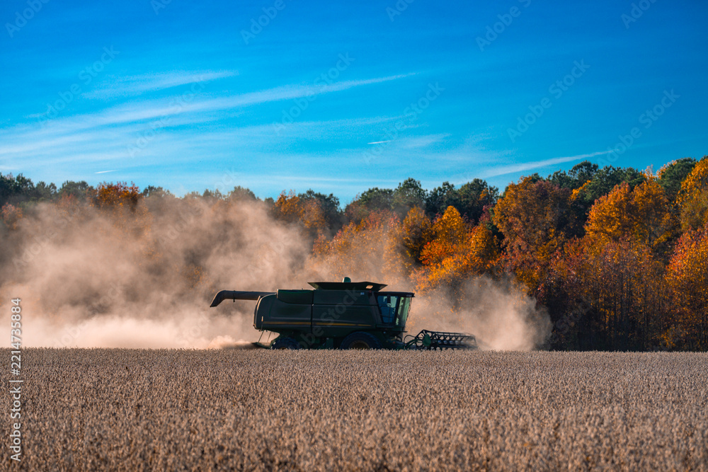Naklejka premium Combine harvester in a wheat field. Harvesting on rural farm. Farming machinery. Agricultural machine at work. Rural landscape with a combine harvester. Farming equipment. Ploughing and cultivation.