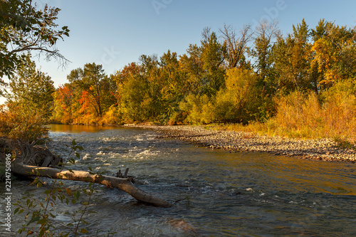 Boise River Idaho in early fall colors