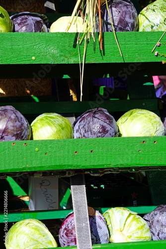 Cabbages and flowers on thanksgiving festival at a green cart