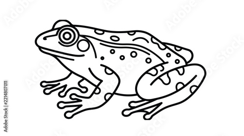 Spotted frog outline drawing featuring bold black lines on clean white digital art style