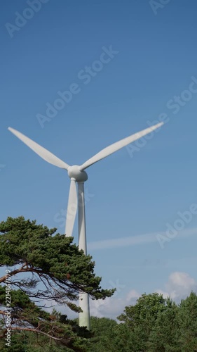Wind turbine rising above green trees under clear blue sky in countryside