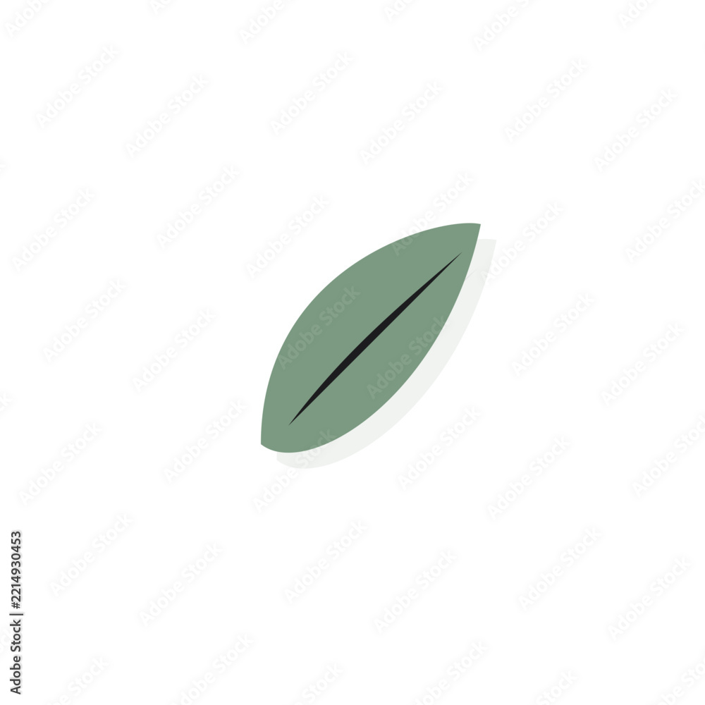 Fototapeta premium Single sculpted botanical leaf with vein detail