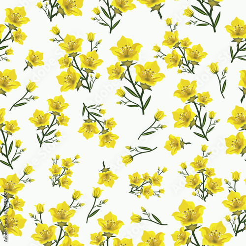 Yellow wild flowers seamless pattern on clean white background