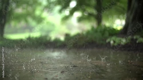 Raindrops splashing on wet pavement in a forest clearing with blurred green trees and natural bokeh background