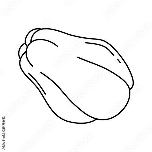 Chayote outline vector illustration 