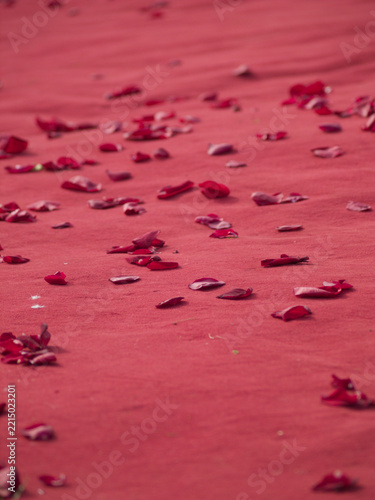 Red Petals Spread