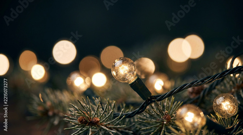 Christmas lights