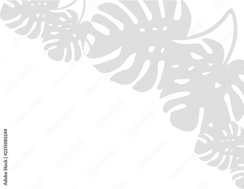 Fototapeta premium Tropical Leaves Shadow Corner