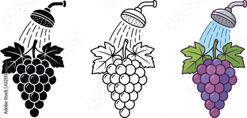 Vector illustrations of grape clusters under a shower head in black outline and color styles
