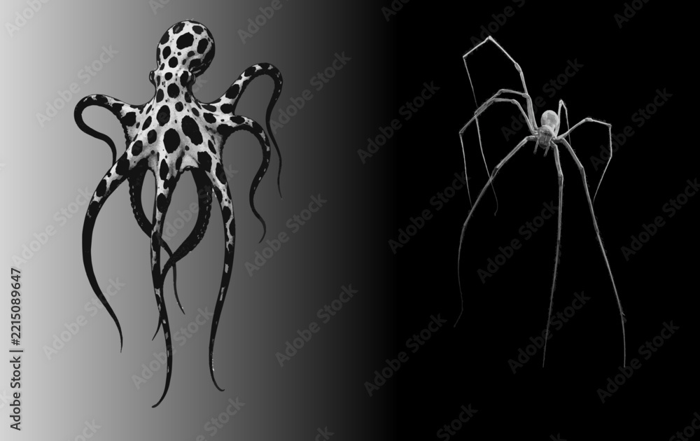 Fototapeta premium Animal Creatures artistic drawn for graphic use