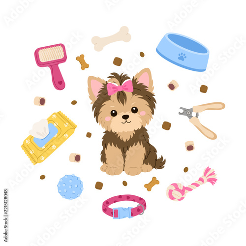 Yorkshire terrier puppy with pet care accessories, toys, treats and  grooming tools. Flat vector illustration for pets care, dog products, logos and animal-themed designs on white background.