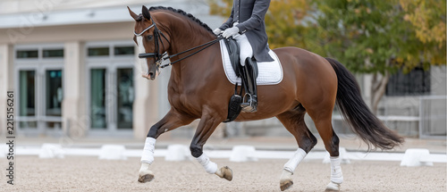Professional Polo Player on a Powerful Dark Bay Horse Galloping Across an Immaculate Emerald-Green Polo Field

