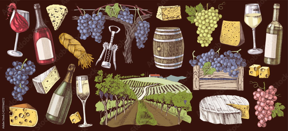 Fototapeta premium Wine, cheese and vineyard illustrations set