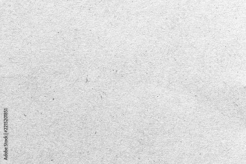 White paper texture . gray background   surface  blank  empty copy space