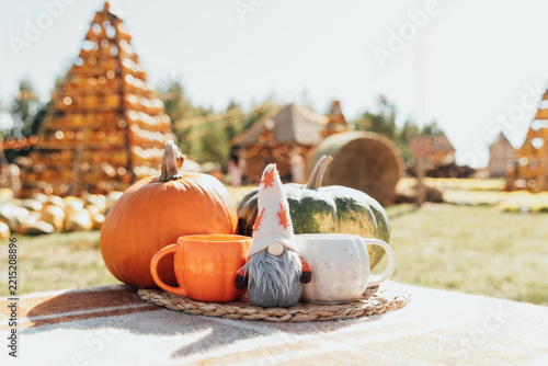 Autumn Pumpkin and Gnome with Cozy Mugs at Outdoor Harvest Market