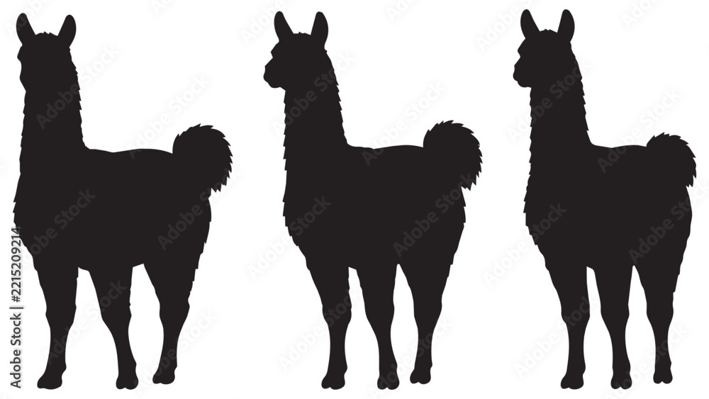 Fototapeta premium Three Black Llama Silhouettes, Minimalist Vector Illustration