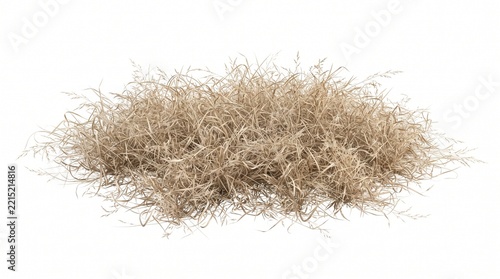A small pile of dried Spanish moss isolated on a white background.