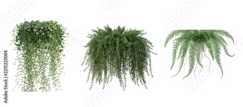 Selection of three green hanging houseplant options featuring trailing vines and delicate leaves on transparent background for home interior decor.