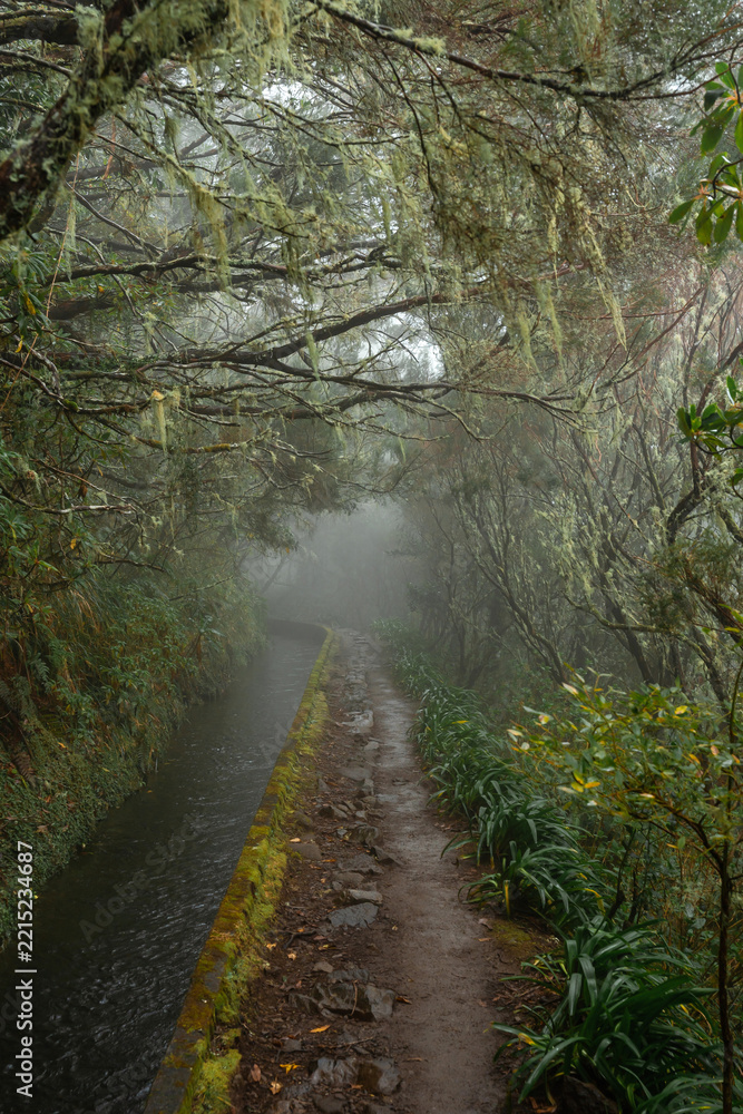 Fototapeta premium A narrow stone path runs alongside a water canal through a dense, foggy forest. This scene represents tranquility, nature exploration, and the concept of a journey through the unknown.