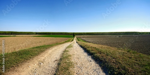 paesaggio golena