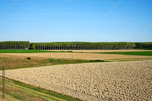 paesaggio golena