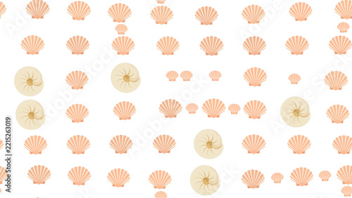 Seashell pattern with scallops and nautilus shells