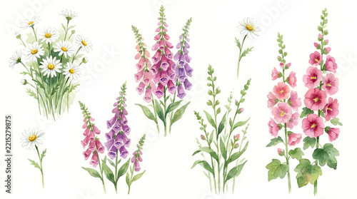 Watercolor Botanical and Floral Clipart Collection featuring Wildflowers, Garden Roses, Wreaths, and Leafy Foliage Arrangements on Isolated White Background for Spring Wedding Invitations,Greeting Ca