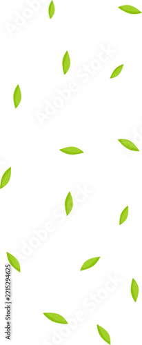Green leaves falling on a white background natural pattern.