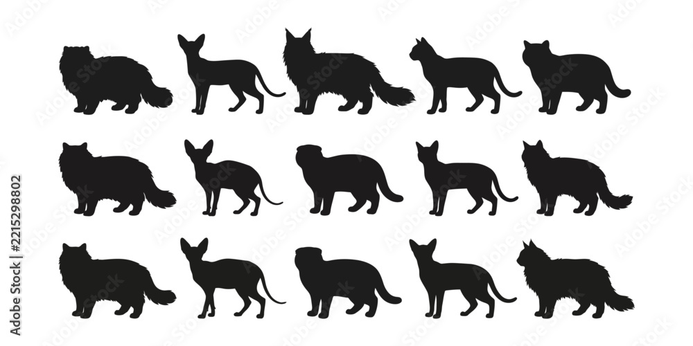 Fototapeta premium Set of black cat silhouettes in various breeds isolated on a white
