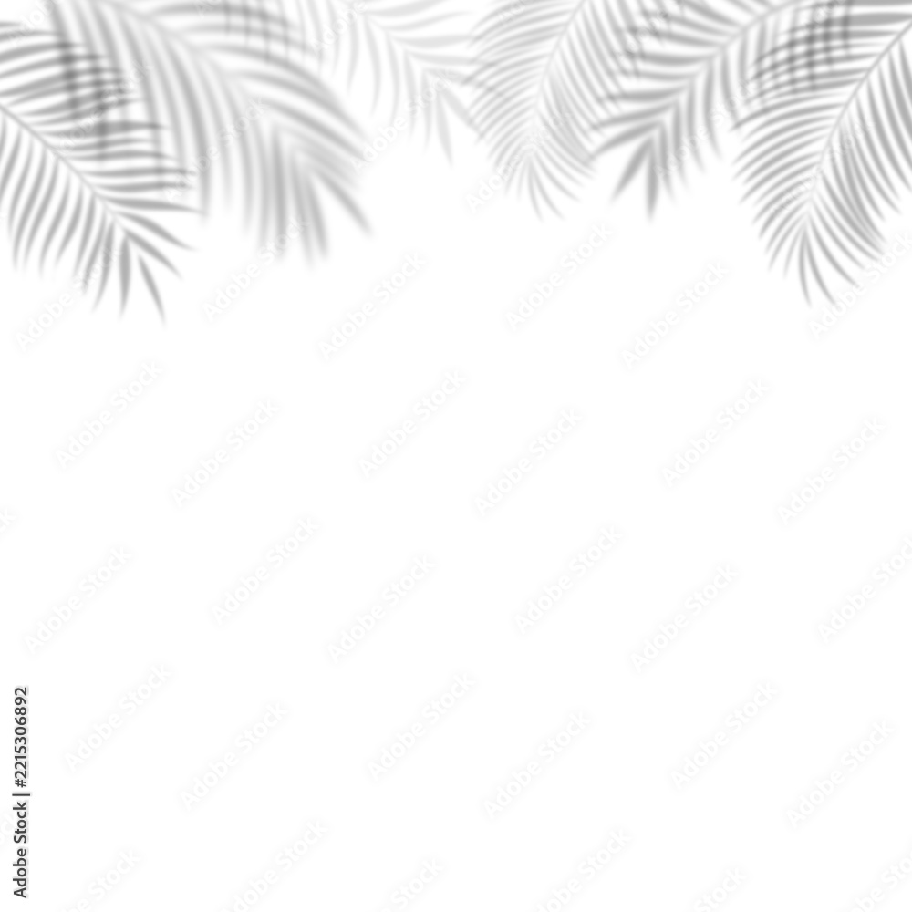 Naklejka premium Tropical palm leaf shadow overlay on a transparent background. Top border palm leaf shadow effect, summer decorations, beach concepts, seasonal artwork, invitations, and visual compositions