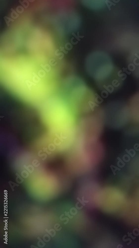 Abstract magical Blurry background colorful looping