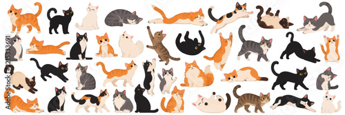 Large collection of cute cartoon cats in various poses and colors vector illustration.