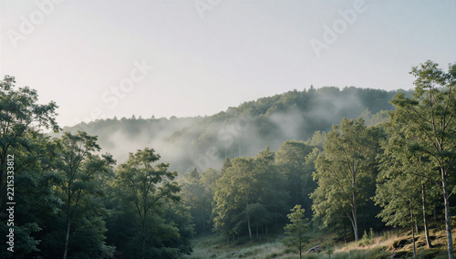 Misty forested hills in soft morning light