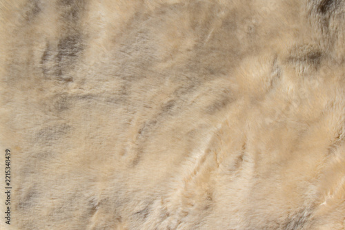  Soft white fur background texture
