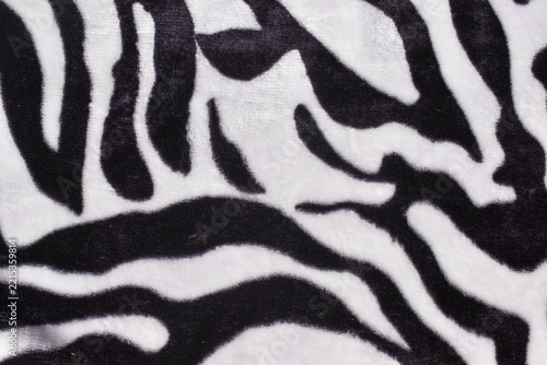 zebra skin texture
