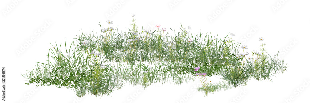 Fototapeta premium green grass isolated on white/High-resolution wildflower meadow with fresh green grass and delicate blooms isolated on a clean white background.