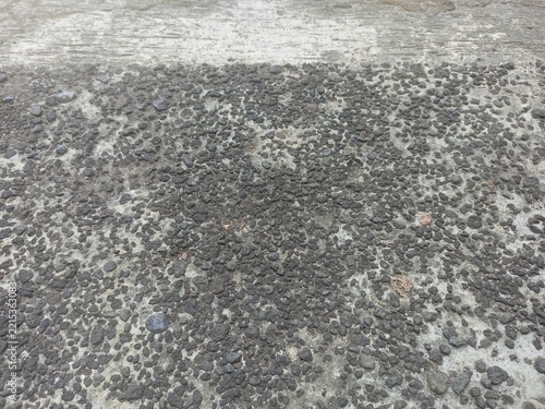 Coarse Gravel Concrete Pavement Surface Texture