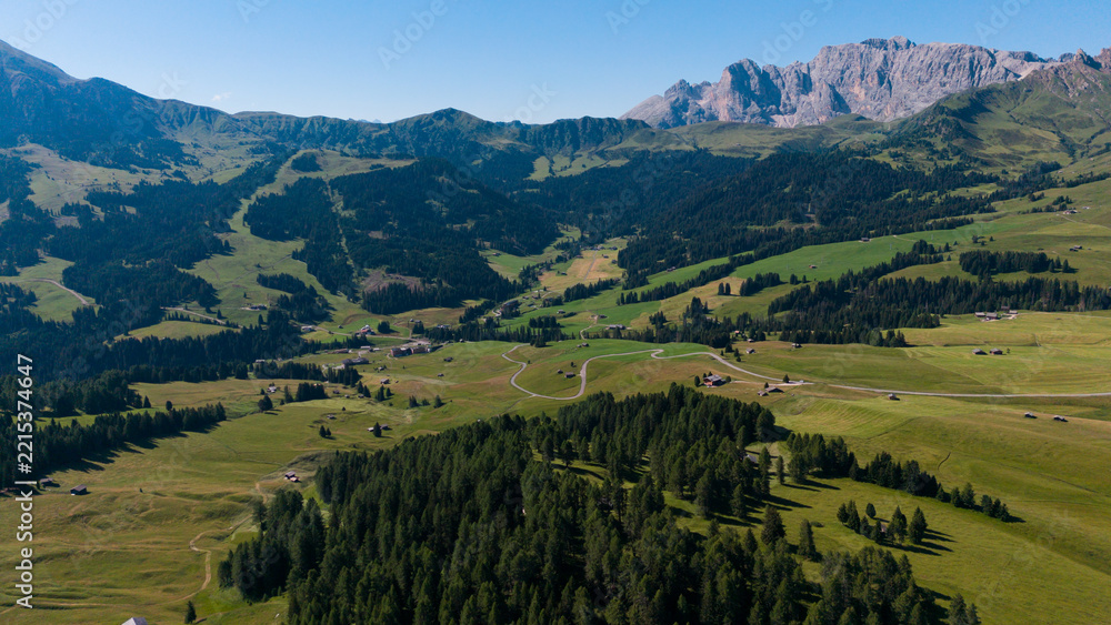 Naklejka premium View of beautiful landscape in the Alps with fresh green meadows in the background on a sunny day with blue sky and clouds in summertime. Alpe de Siusi, Dolomite Alps
