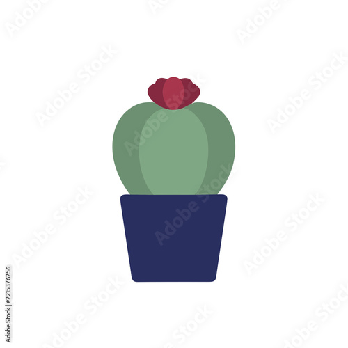 Potted cactus with a red flower on transparent background
